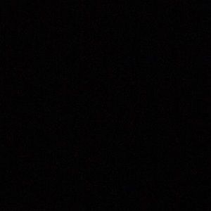 Meet your Posher, Tamara